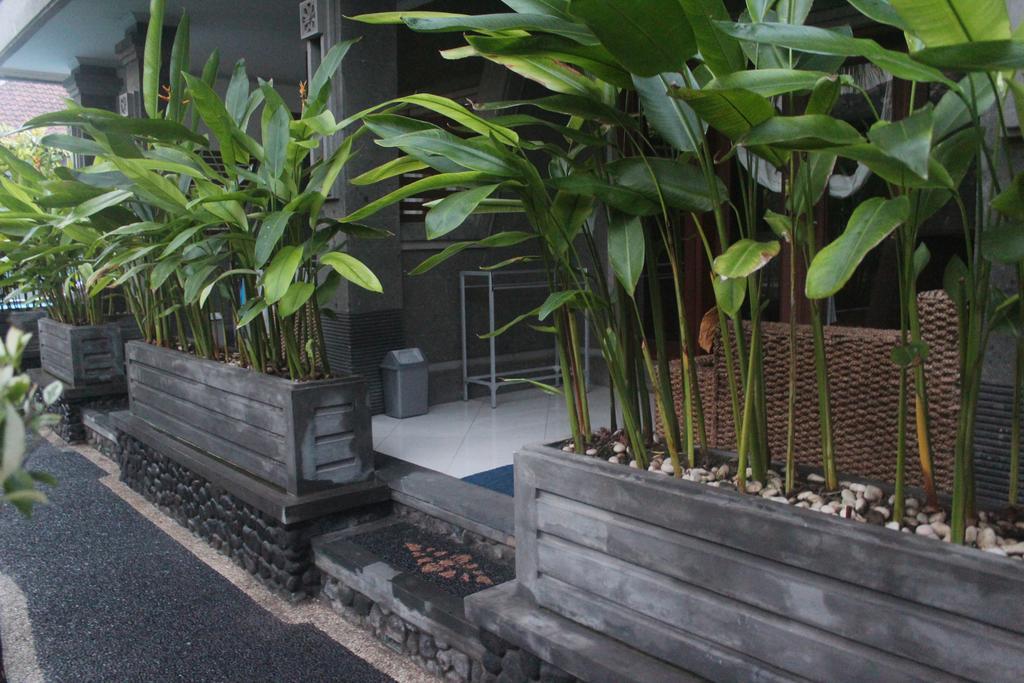 Letos Kubu Homestay Kuta Lombok Kültér fotó