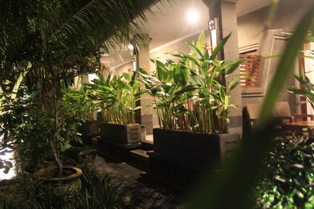 Letos Kubu Homestay Kuta Lombok Kültér fotó